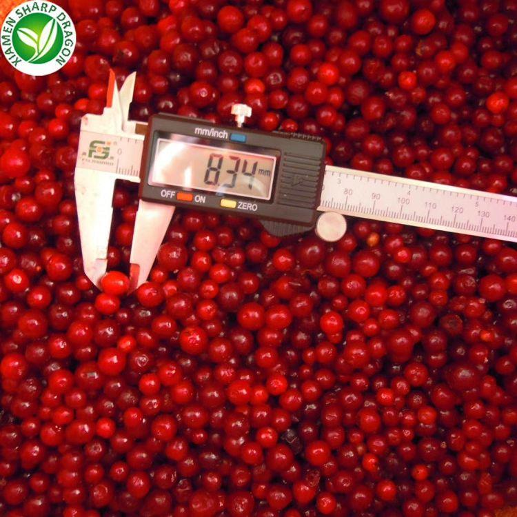 frozen Lingonberry for hawaiian food market