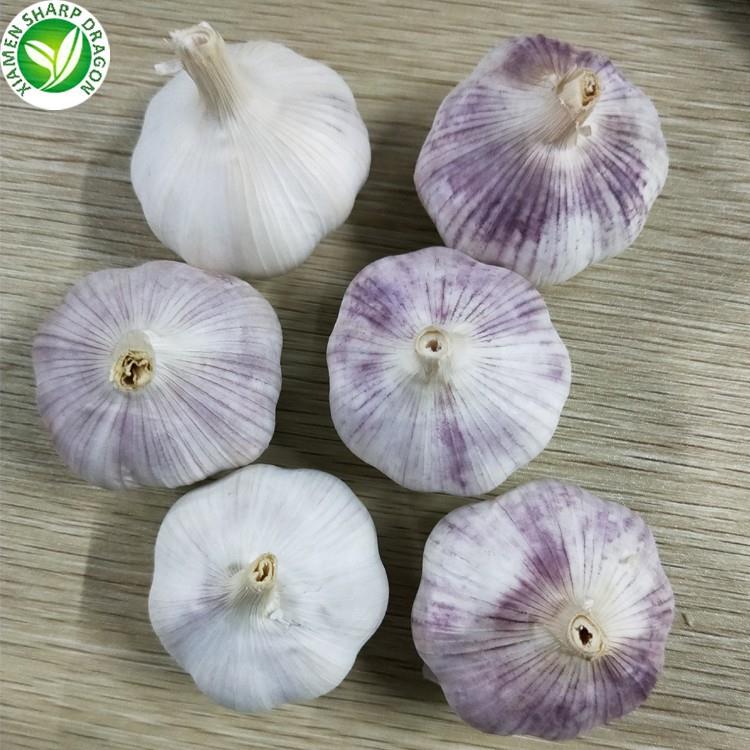 garlic product-1-1
