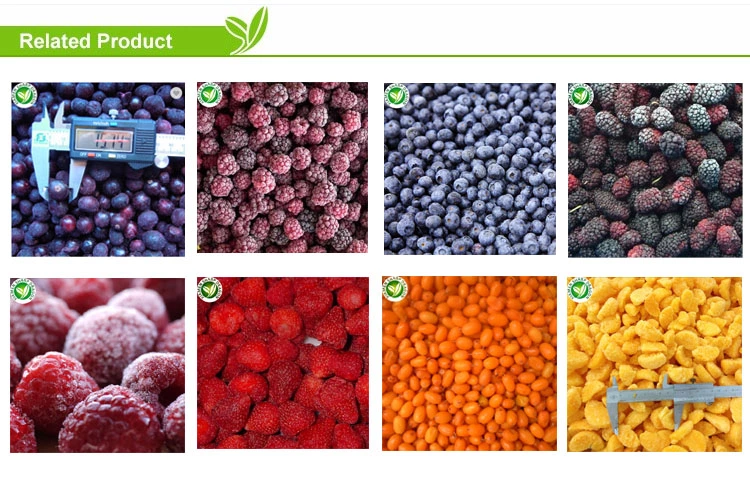 frozen Lingonberry for australian food market