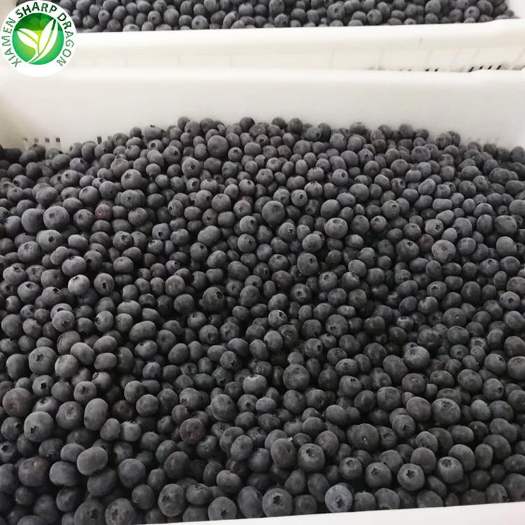 blueberry of wholesaler blueberry of wholesaler
