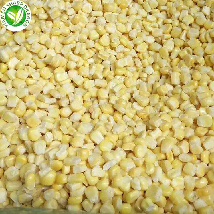 jagung borong corn wholesale