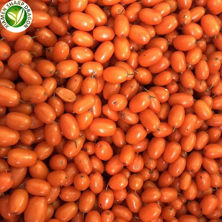 IQF Sea Buckthorn Berry Frozen