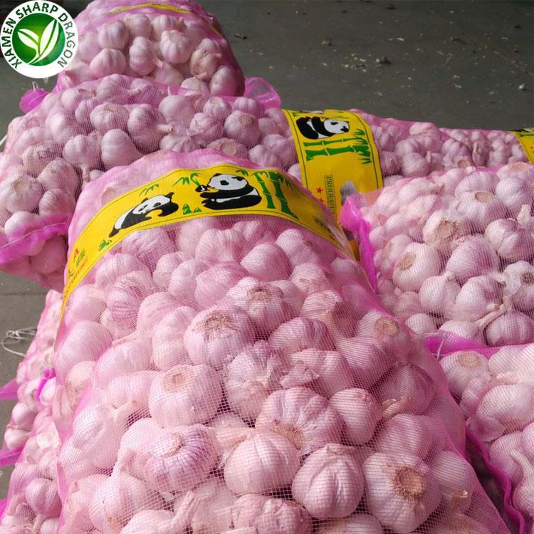 bawang putih segar yang dijual fresh garlic on sale