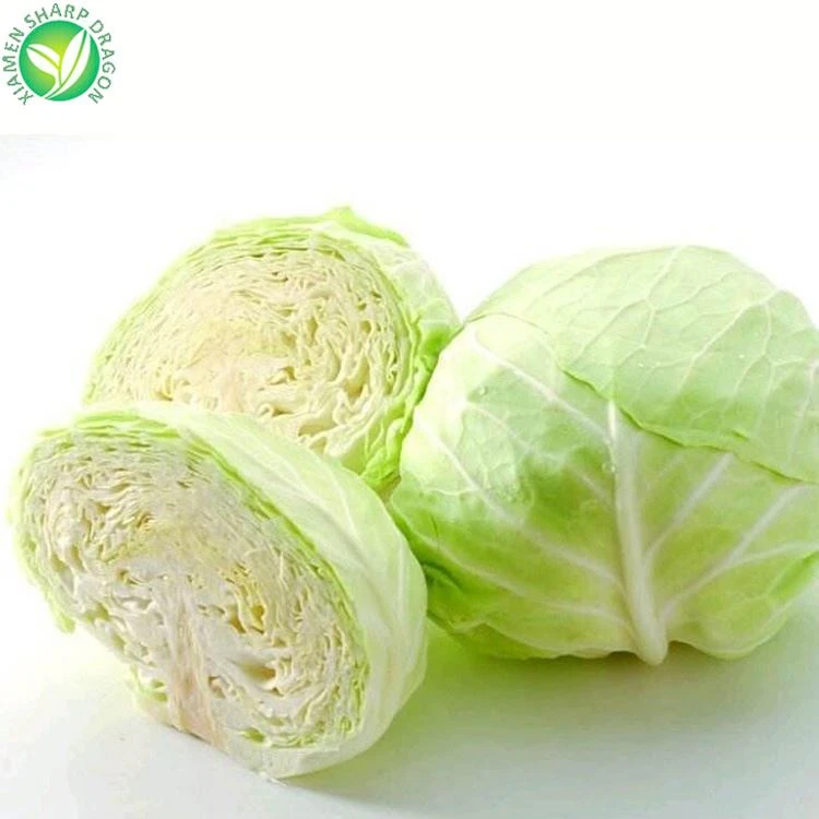 frozen cabbage for sale