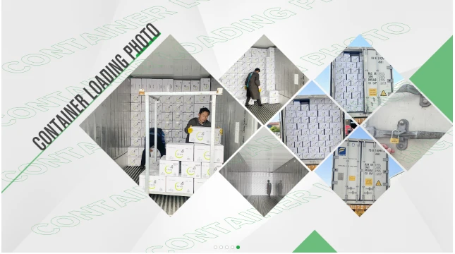 product-645-360