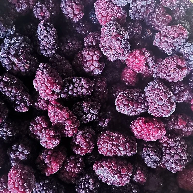Frozen Blackberry Frozen Blackberry