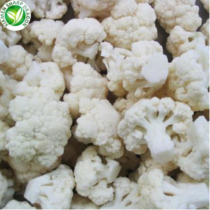 Harga Borong Bunga Kobis