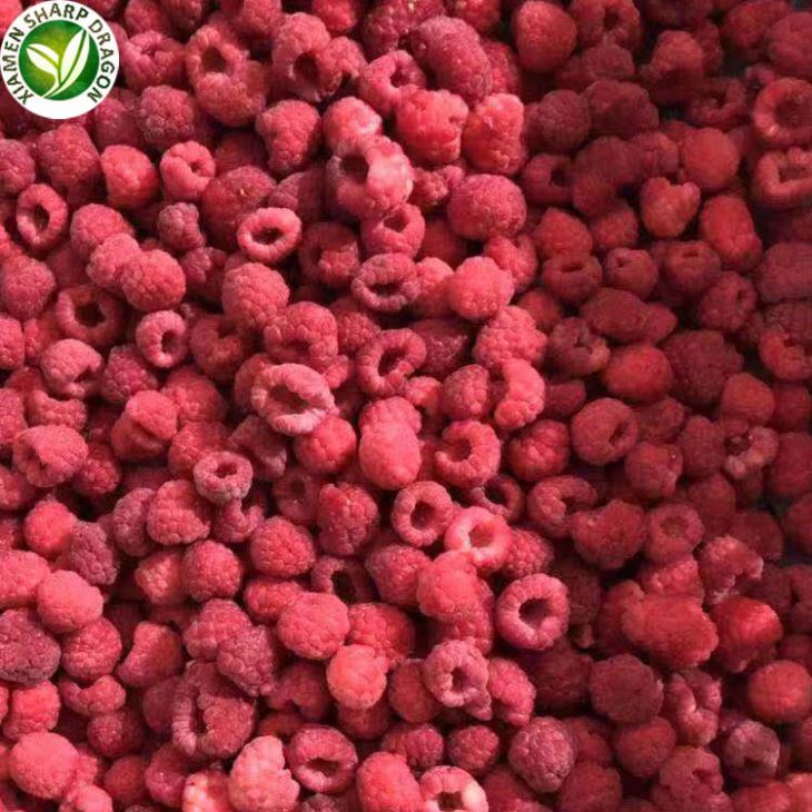 IQF Frozen Raspberry – X-Pemeriksaan Sinar & Kualiti Seluruh Beri