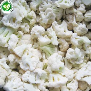 Harga Pukal Kembang Kol