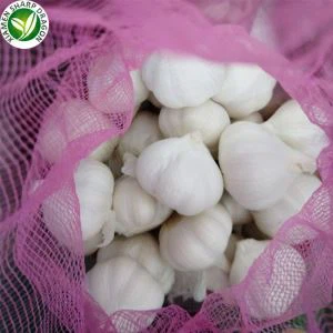 Bawang putih segar yang murah