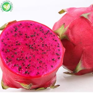 Buah Naga Dekat Saya