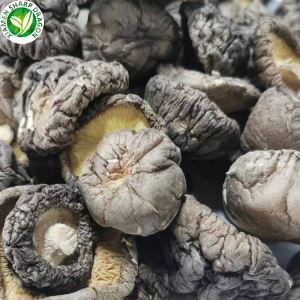 Pasar Cendawan Shiitake kering