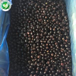 Blackcurrants segar beku
