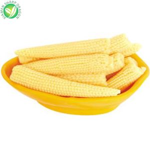 Jagung Bayi IQF beku