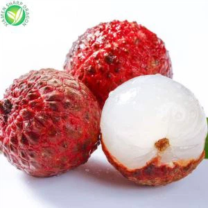 Pembekal Lychee Frozen