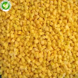 Harga Buah Pic Beku