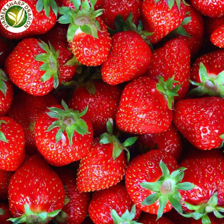 Strawberries Supply Chain