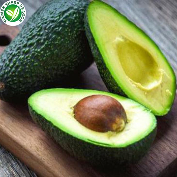 Harga alpukat beku per tan