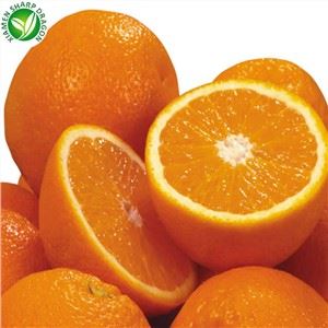 100% Asli Manis Segar Navel Oren