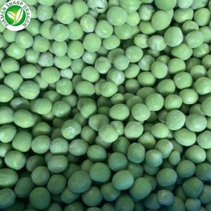 Kacang Hijau Beku Untuk Dijual