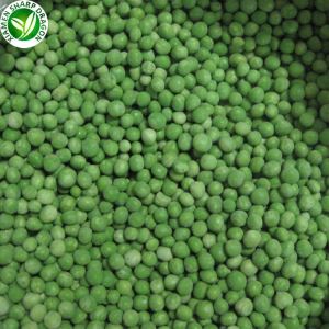 Green Pea Murah