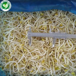 Harga tauge