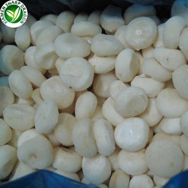IQF Water Chestnuts for First Import Orders