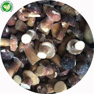 Harga Cendawan Porcini yang lazat