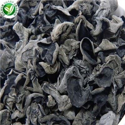 Cendawan Kulat Hitam Untuk Dijual