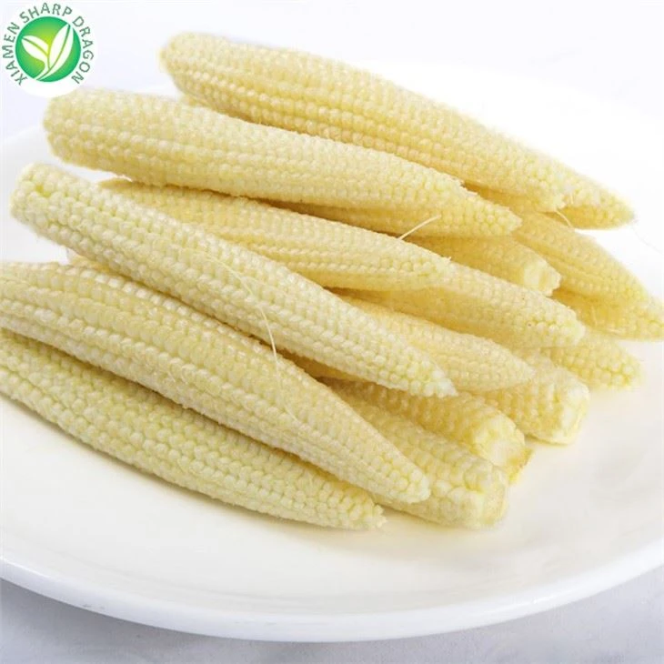 Wholesale Export Frozen Baby Corn Cobs