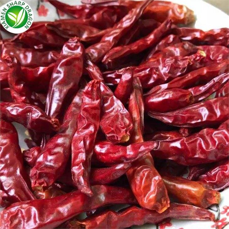 Chili Supplier