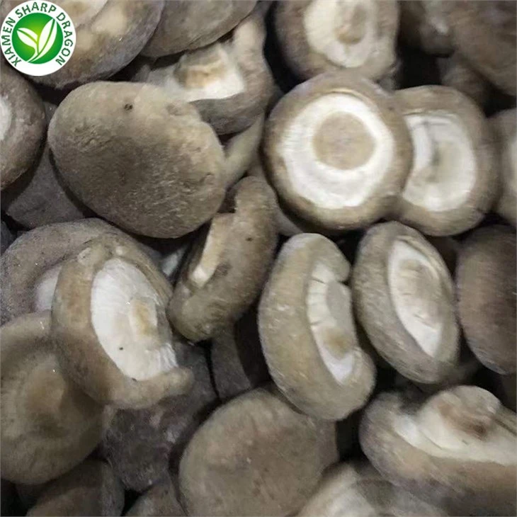 Shiitake Mushrooms Dried