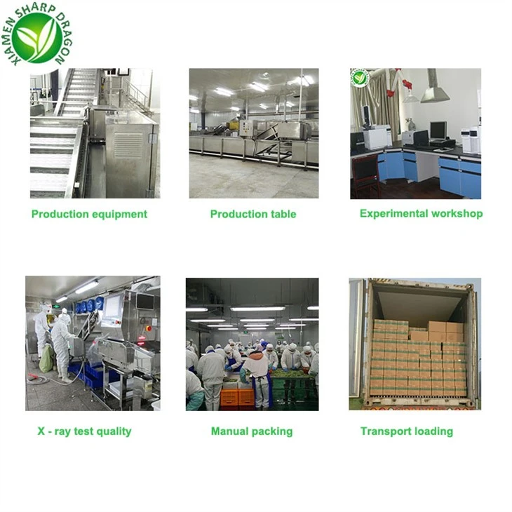 IQF Frozen Sweet Corn Cobs and Segments for Bulk Supply